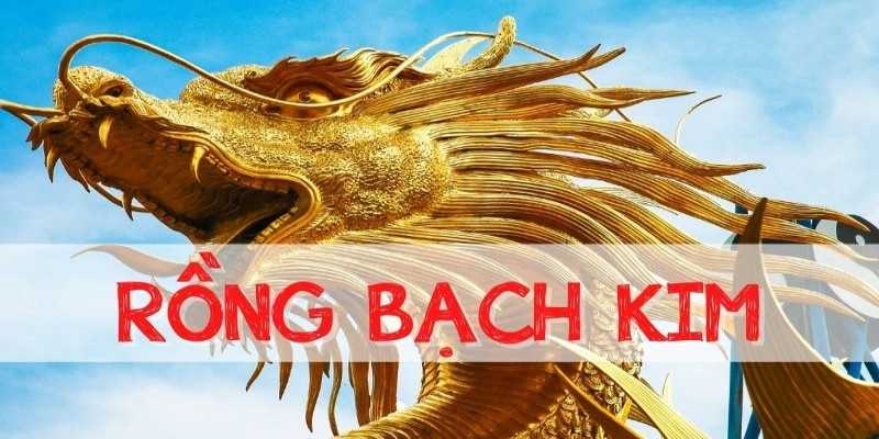 rong-bach-kim-cao-thu-avatar